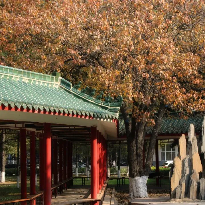 如何为不同水平的球员制定个性化的篮球训练策略_1